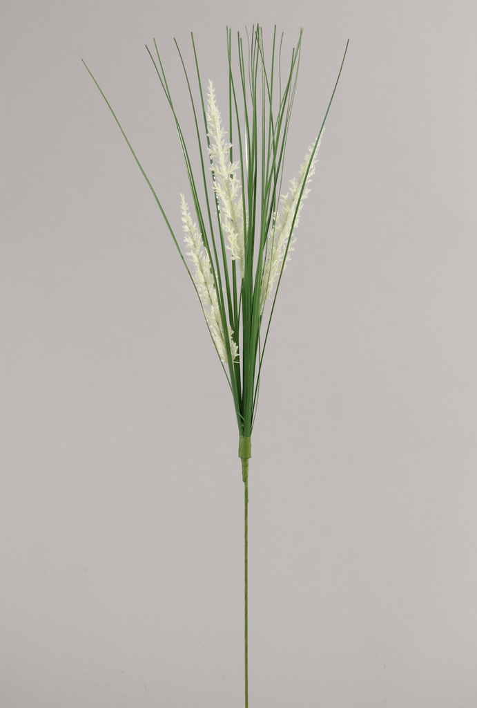 Willow spray