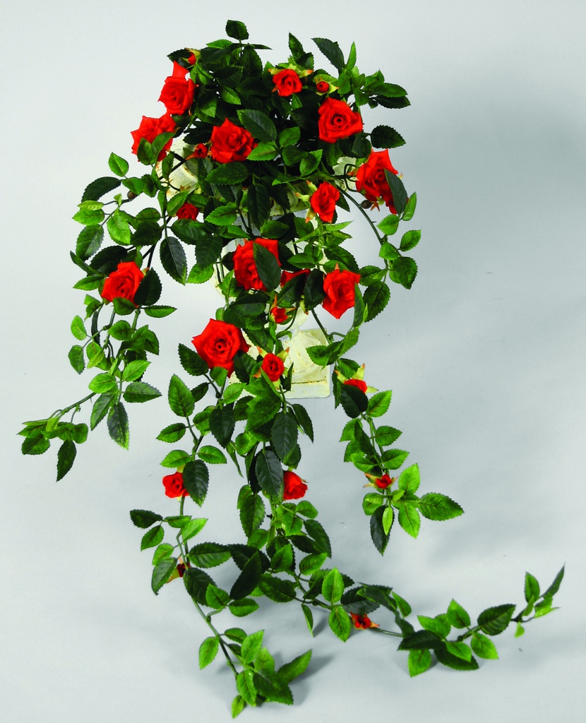 Mini Rose