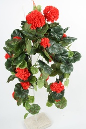 [112cpp-1] Geranium (Alternative 1)