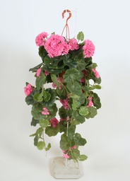 [112cpp-3] Geranium (Alternative 2)