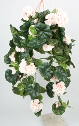 [112cpp-22] Geranium (Alternative 5)