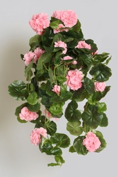 [112cpp-5] Geranium (Alternative 7)