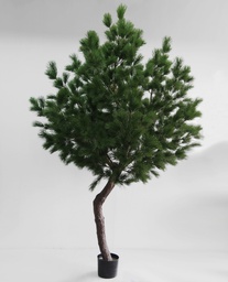 [13-270] Pine tree (Alternative 1)