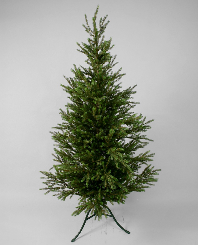 Picea pine tree with lights