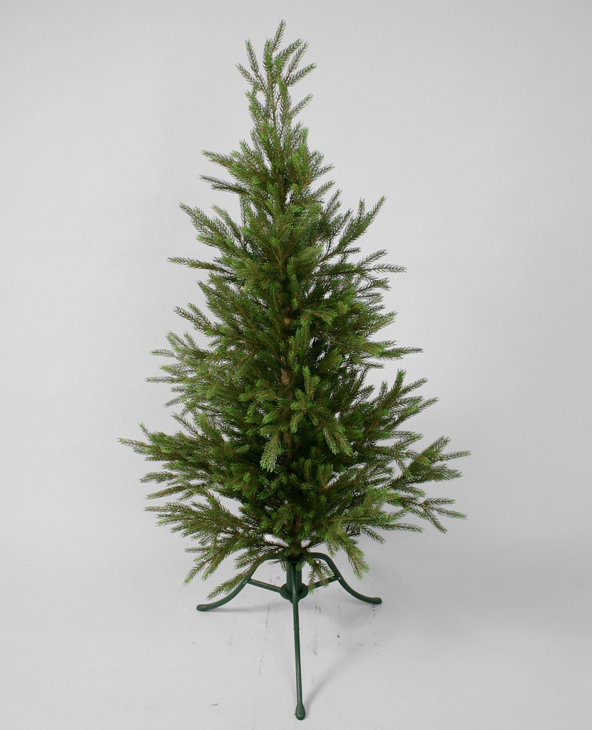 Picea pine tree with lights