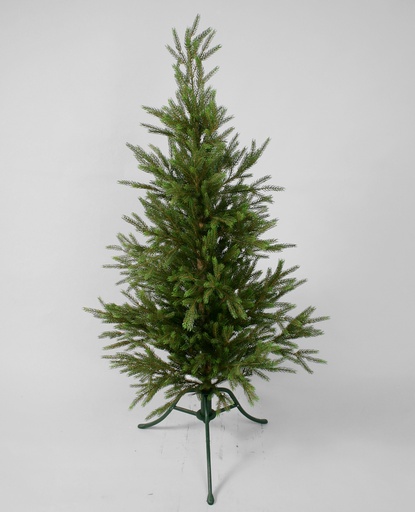 Picea pine tree with lights