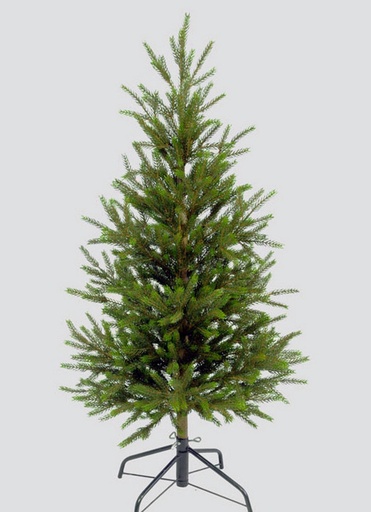 Picea pine tree with lights