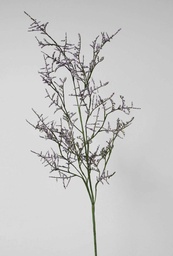 [6387-1] caspia branch (Alternative 1)