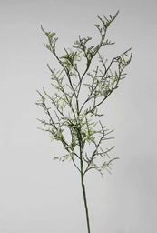 [6387-2] caspia branch (Alternative 2)