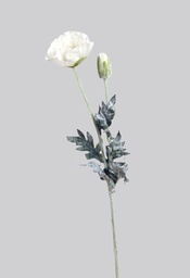 [7175] Poppy (Alternative 1)