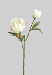 [7171] Peony (Alternative 1)