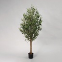 [08-170] Olive (Alternative 3)