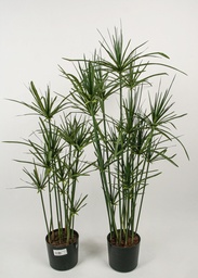 [1022-70] Papyrus (Alternative 1)