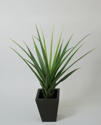 [1051-130] Agave (Alternative 2)