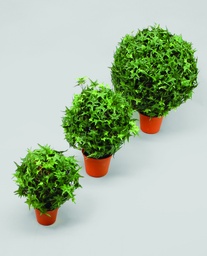 [115-1-22] ivy ball (Alternative 1)