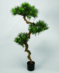 [61-115] Podocarpus (Alternative 2)