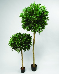 [36-200] laurel (Alternative 4)