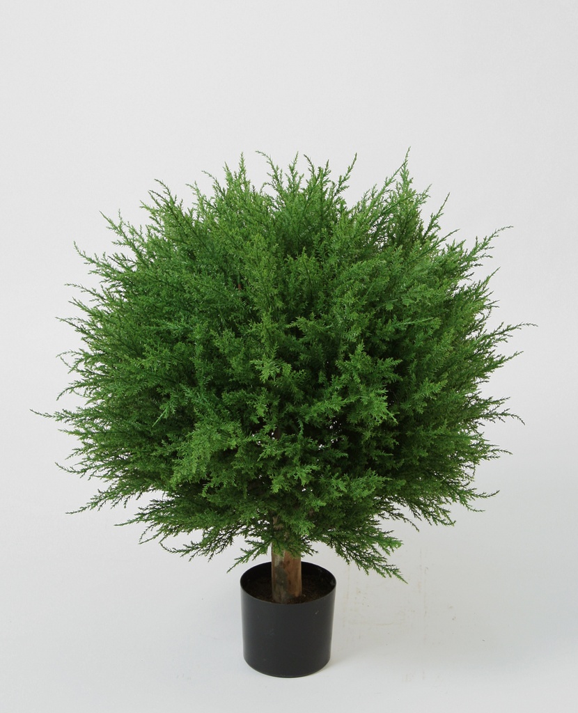 Cypress Ball