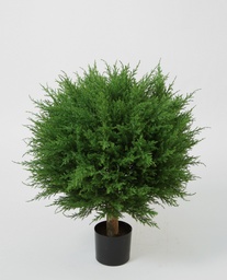[1125-040] Cypress Ball (Alternative 1)