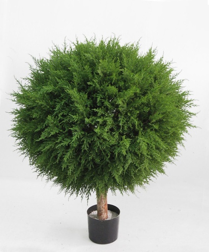 Cypress Ball