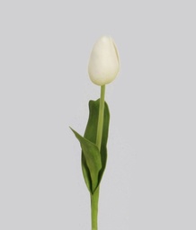 [4507] Tulip Bud (Alternative 2)