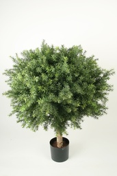 [1173-080] Taxus (Alternative 3)