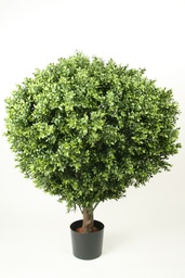 [1007-100] Boxwood Ball (Alternative 3)