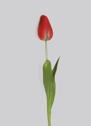 [4509] Tulip Bud (Alternative 4)