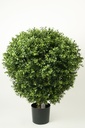 [1007-060] boxwood ball (Alternative 4)