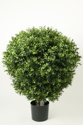 [1007-060] boxwood ball (Alternative 4)