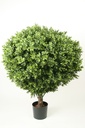 [1007-080] boxwood ball (Alternative 5)