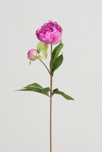 Peony spray