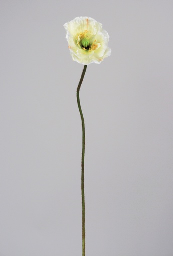 poppy spray