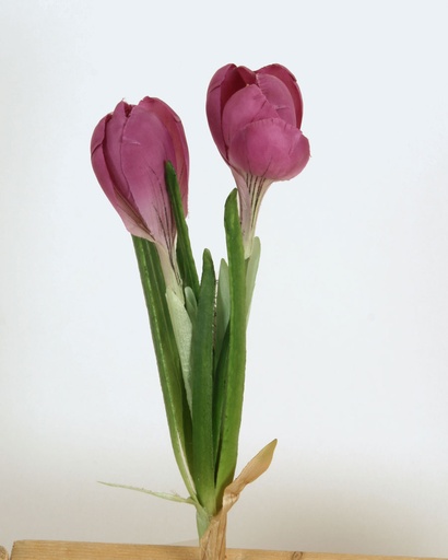crocus