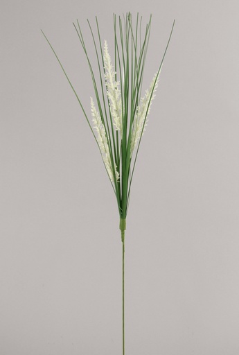 Willow spray