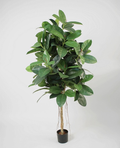 Rubber leaf
