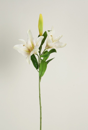 tiger lily spray