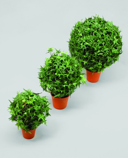 ivy ball