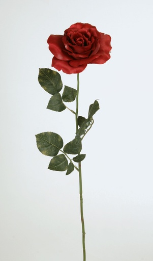 Rose Satin