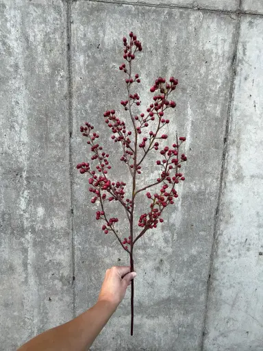 Ilex Branch