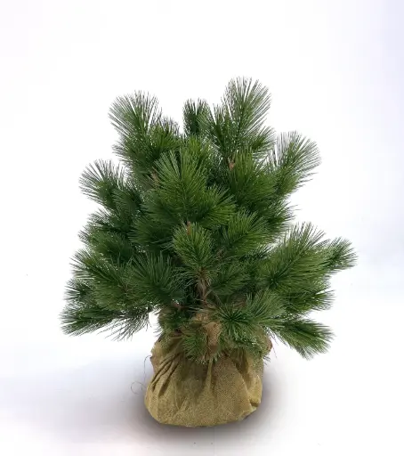 Pine Jute Lump, New item – delayed