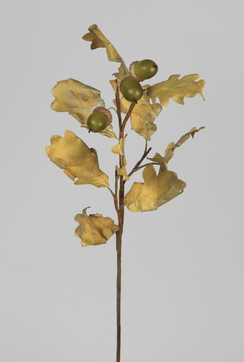 Oak leaf