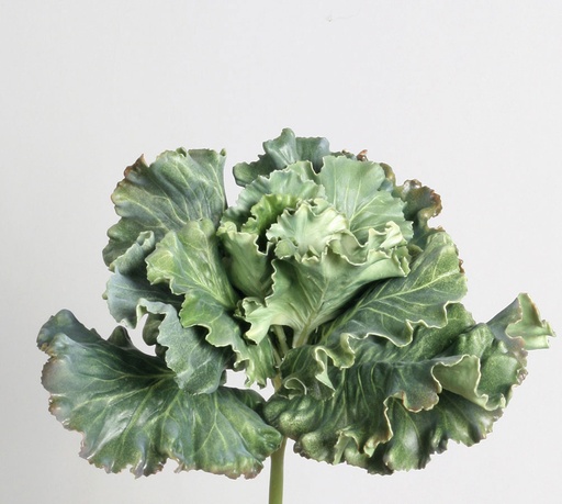 Ruffled Kale