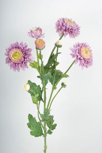 Mum spray